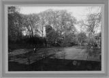 View of the paddock from the Walnut Trees.