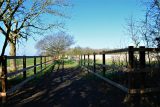 March 2022 - The Meridian Oak and the new path to Nobels Lane