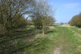 March 2022 - Orchard Pathway
