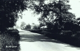 Rectory Road including the Prince of Wales pub (Peter Searle)
